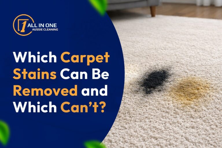 Which carpet stains can be removed and which can't